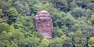 Buntsandsteinfelsen oberhalb der Rur