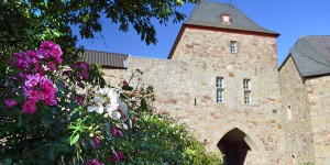 Burg in Untermaubach