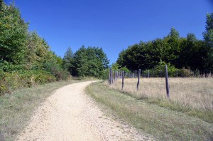 Wanderweg auf der Sophienhöhe