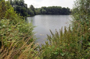 Am Ufer des Adolfosees