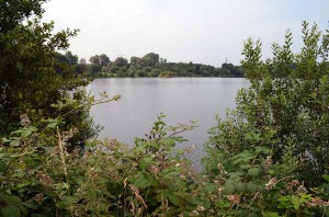 Am Ufer des Adolfosees