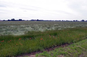 Landschaft bei Wassenberg