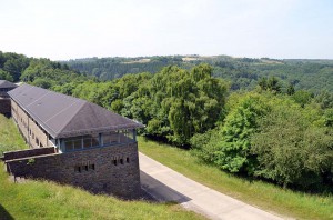 Vogelsang ip