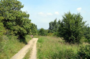 Wanderweg