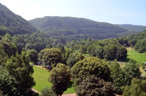 Eifelblick
