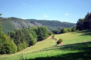 Eifelblick