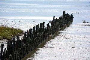 Wattenmeer