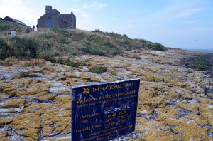 Farne Island gehört zum National Trust