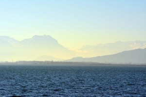 Blick über den Bodensee