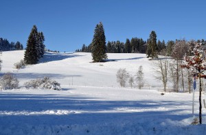 Schneelandschaft