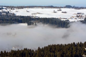 Schneelandschaft