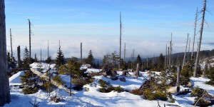 Wanderung zum Dreiländereck