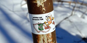 Wanderung rund um Tschechien