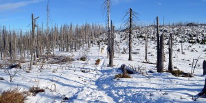 Wanderung zum Dreiländereck