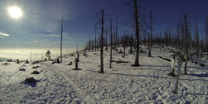 Wanderung zum Dreiländereck