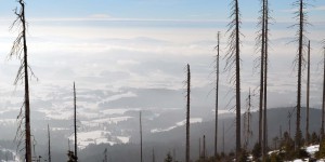 Blick über die Wolken