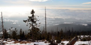 Ausblick vom Dreisessel