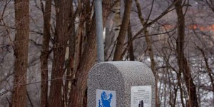 Grenze nach Tschechien