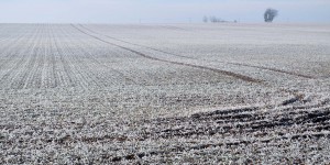Frostige Landschaft