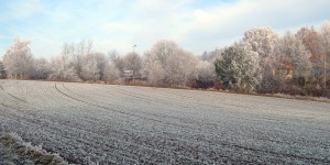 Frostige Landschaft