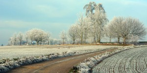 Frostige Landschaft