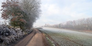 Frostige Landschaft