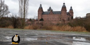 Pingu in Aschaffenburg