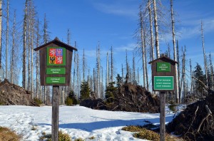 Nationalpark Sumava