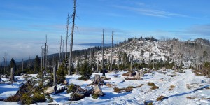 Naturpark Bayerischer Wald