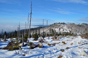 Naturpark Bayerischer Wald