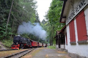 Bahnhof Steinerne Renne