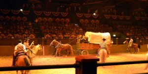 Bei der Wild West Show