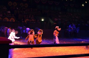 Bei der Wild West Show