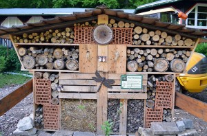 Insektenhotel im Harz