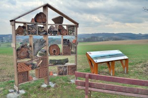 Insektenhotel mit Picknickplatz für Menschen