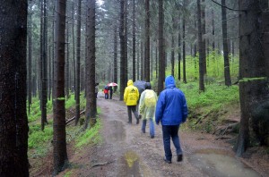 Gut besuchter Wanderweg