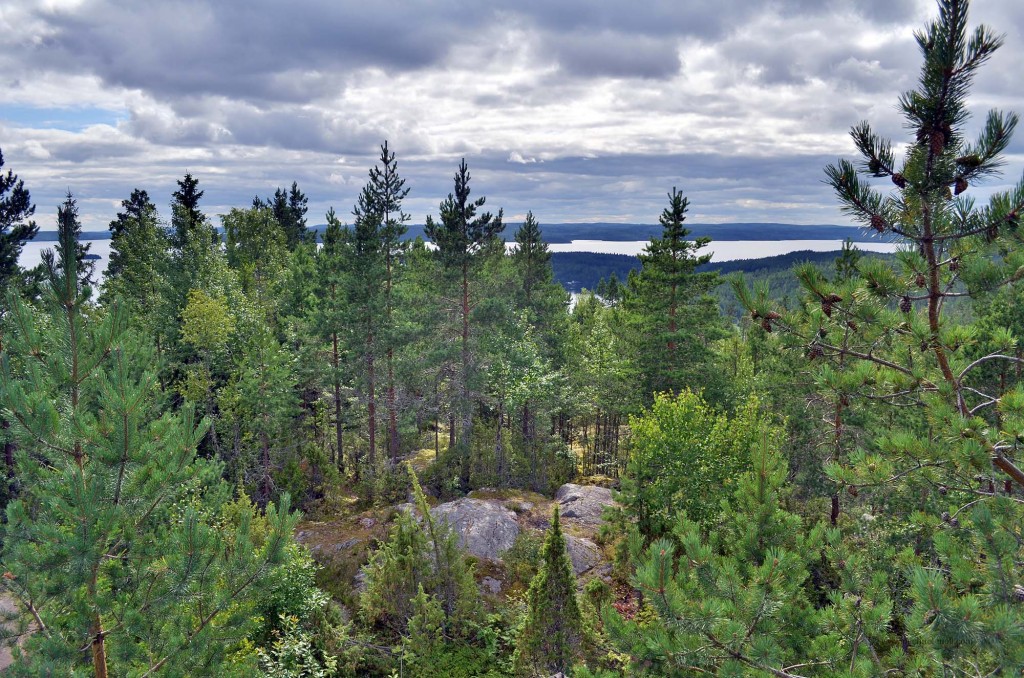 Aussicht dort, wo vermessen wurde