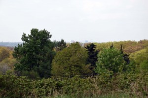 Am Horizont die Skyline von Essen