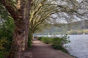 Weg am Baldeneysee