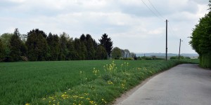 Feldweg am höchsten Punkt