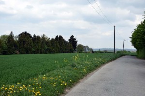 Feldweg am höchsten Punkt