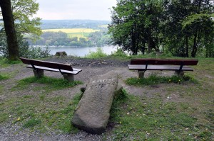 Korte Klippe im Schellenberger Wald