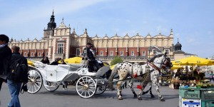 Kutsche auf dem Rynek