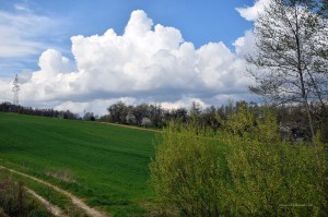 Karpatenvorland