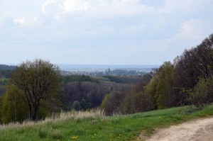 Karpatenvorland
