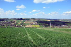 Südpolnische Landschaft