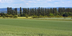 Ausblicke bis in das Sauerland