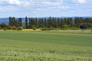 Ausblicke bis in das Sauerland
