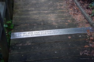 Zitat von Goethe