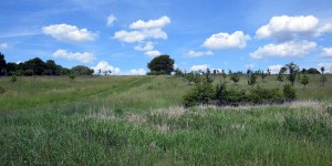 Landschaft in Dortmund-Barop